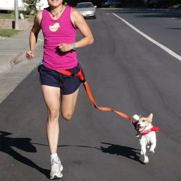 Colorida correa para correr junto a tu perrito con seguridad