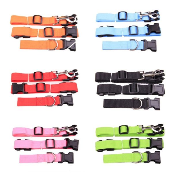 Colorida correa para correr junto a tu perrito con seguridad