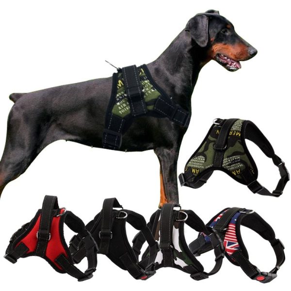 Arnés de seguridad reflectante y varios diseños para perros chicos y grandes, ajustable
