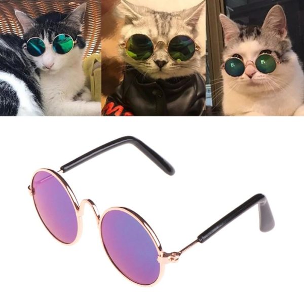 Coloridas gafas de sol para perritos y gatos