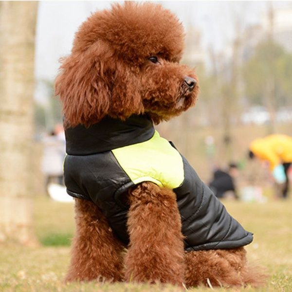 Abrigado chaleco de invierno impermeable con cierre