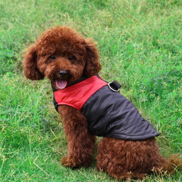 Abrigado chaleco de invierno impermeable con cierre