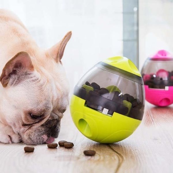 Juego de ingenio en forma de bola que larga comida al ser resuelto, para perros y gatos