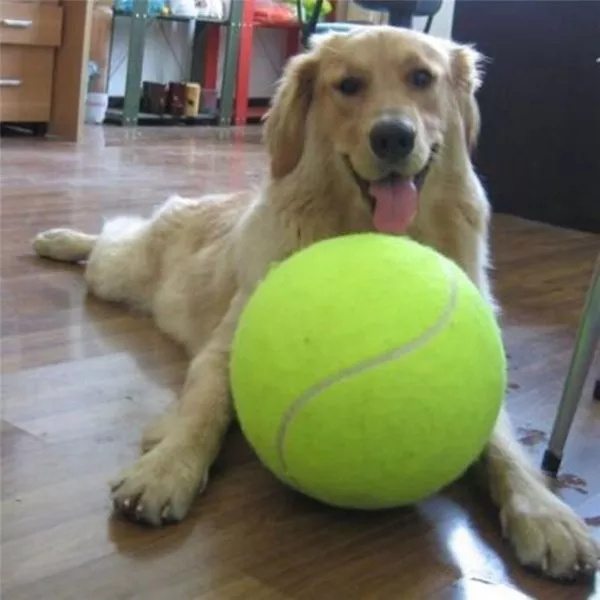 Sorprendente pelota de tenis gigante para perros, inflable de 24cm de diámetro