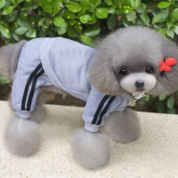 Ropa deportiva con capucha para perros chicos y medianos