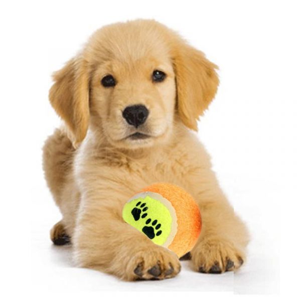 Pelota de tenis para perros reforzada y duradera